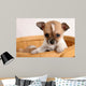 popup puppy Wall Mural