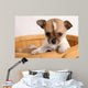 popup puppy Wall Mural