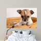 popup puppy Wall Mural