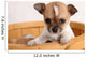 popup puppy Wall Mural