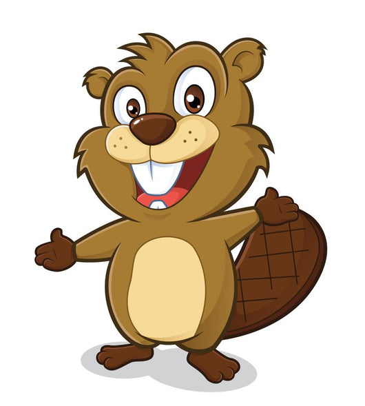 Beaver in welcoming gesture Wall Decal
