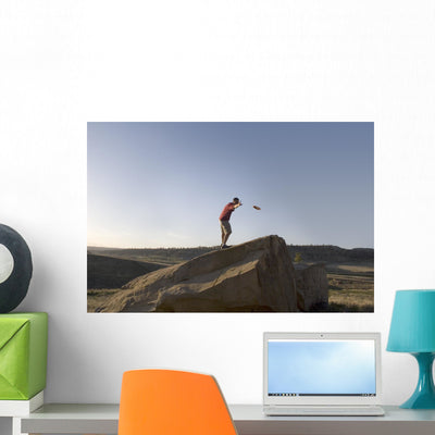 Frisbee Golf Folf Wall Mural shown on a wall