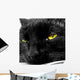 Black Cat With Yellow Eyes Wall Mural