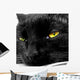 Black Cat With Yellow Eyes Wall Mural