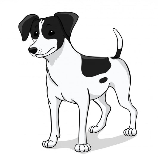 Jack russell black Wall Decal