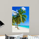 Sandy beach with palm trees, Dominican Republic in Caribbean 