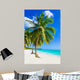 Sandy beach with palm trees, Dominican Republic in Caribbean 