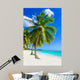 Sandy beach with palm trees, Dominican Republic in Caribbean 