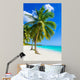 Sandy beach with palm trees, Dominican Republic in Caribbean 