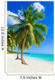 Sandy beach with palm trees, Dominican Republic in Caribbean 