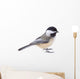 Black-capped Chickadee, Poecile atricapilla, Isolated Wall Decal