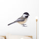 Black-capped Chickadee, Poecile atricapilla, Isolated Wall Decal