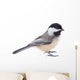 Black-capped Chickadee, Poecile atricapilla, Isolated Wall Decal
