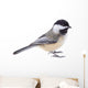 Black-capped Chickadee, Poecile atricapilla, Isolated Wall Decal