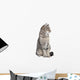 Tabby Cat Looking to the Side 