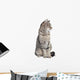 Tabby Cat Looking to the Side 