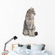 Tabby Cat Looking to the Side 