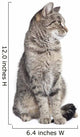 Tabby Cat Looking to the Side 