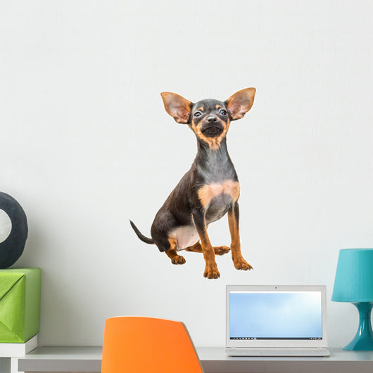 Toy Terrier Wall Decal