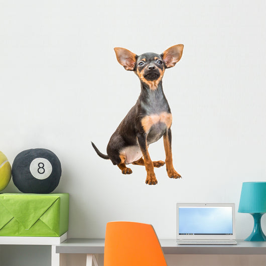 Toy Terrier Wall Decal