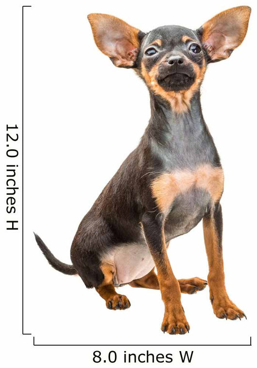 Toy Terrier Wall Decal