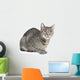 Isolated Striped Cat 