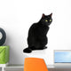 Black Cat 