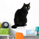 Black Cat 