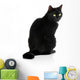 Black Cat 