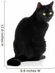 Black Cat 