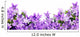 frame of bluebells 