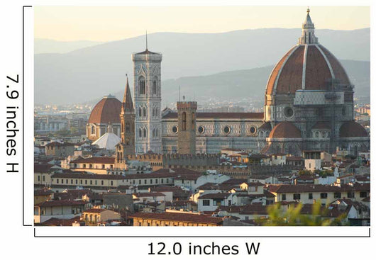 Florence Wall Mural