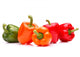 Sweet bell pepper isolated on white background cutout Wall Decal
