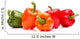 Sweet bell pepper isolated on white background cutout Wall Decal