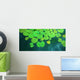 Water Lilies Wall Decal