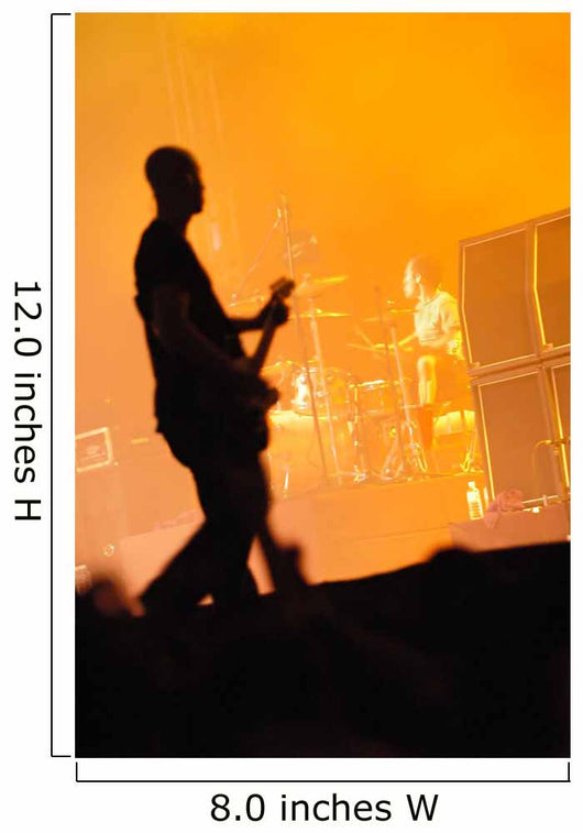Guitarist and Drummer Wall Mural