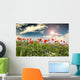 Poppies Cornflowers and Chamomile 