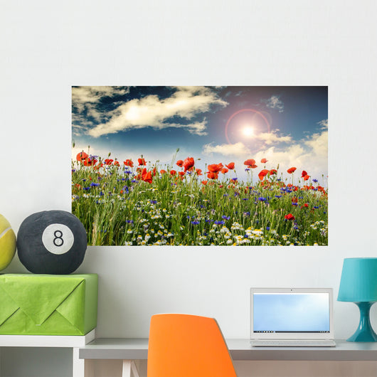Poppies Cornflowers and Chamomile 