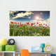 Poppies Cornflowers and Chamomile 