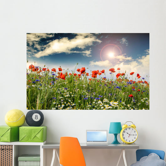 Poppies Cornflowers and Chamomile 