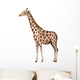 A giraffe Wall Decal