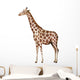 A giraffe Wall Decal