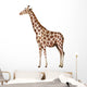 A giraffe Wall Decal