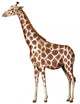 A giraffe Wall Decal