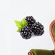 Blackberry with leaf Wall Decal
