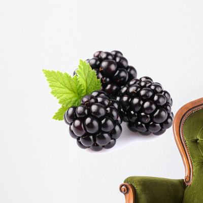 Blackberry with Leaf Wall Decal shown on a wall
