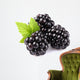 Blackberry with leaf Wall Decal