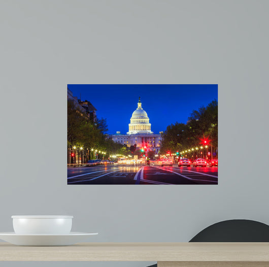 Capitol building in Washington DC Wall Mural
