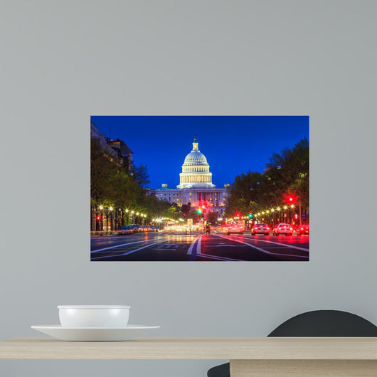 Capitol building in Washington DC Wall Mural