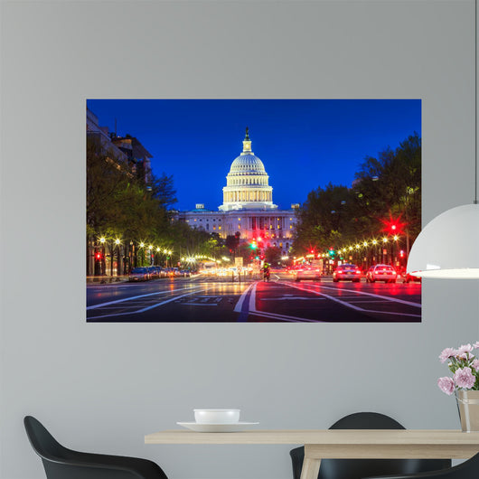 Capitol building in Washington DC Wall Mural